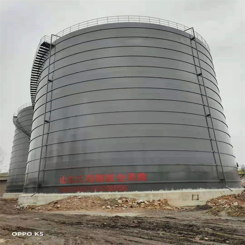 濠江3万吨大型钢板库